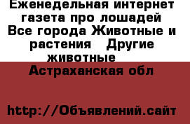 Еженедельная интернет - газета про лошадей - Все города Животные и растения » Другие животные   . Астраханская обл.